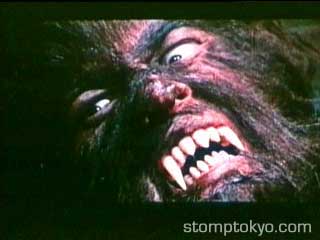 A picture from Werewolf vs Vampire Woman