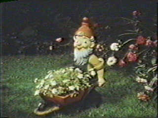 "Hi there! I'm Terry, the Lawn Gnome, and I just wanted to apologize in advance for Nekromantik!"